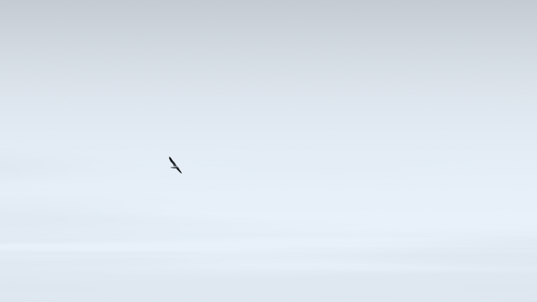 – Minimalismus –